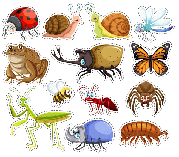 Conjunto de adesivos de muitos insetos — Vetor de Stock