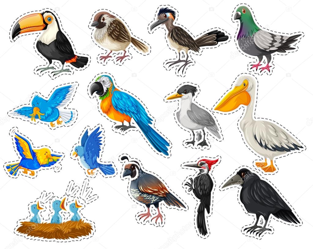 Sticker set with many types of birds
