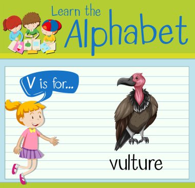 Flashcard V akbaba için harftir