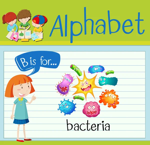 Flashcard letra B es para bacterias — Archivo Imágenes Vectoriales