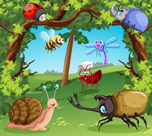 Many types of bugs in the forest