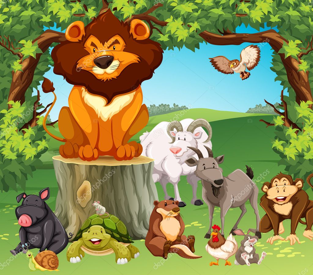 blueringmedia 125972588 द्वारा जंगल में जंगली