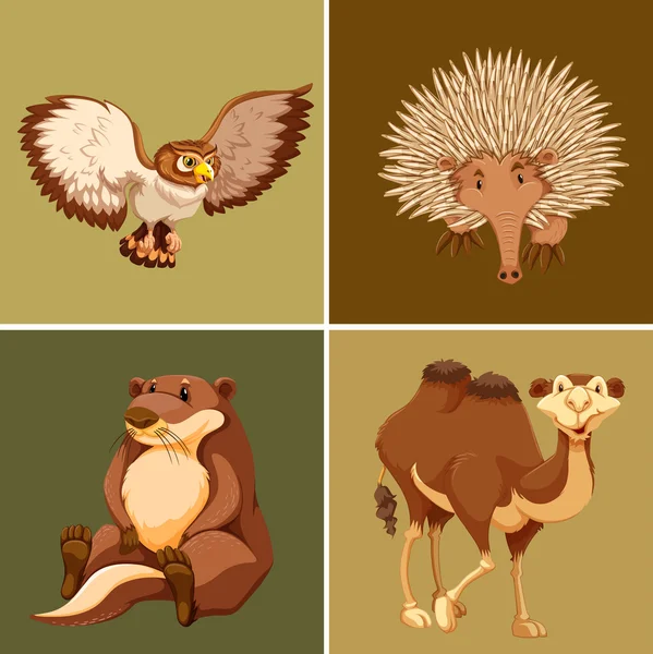 Different types of wild animal on brown background