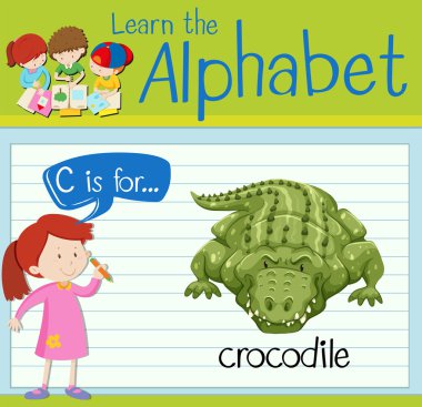 Flashcard C timsah için harftir