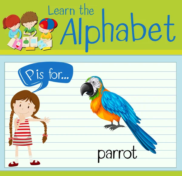 Flashcard letra P é para papagaio —  Vetores de Stock