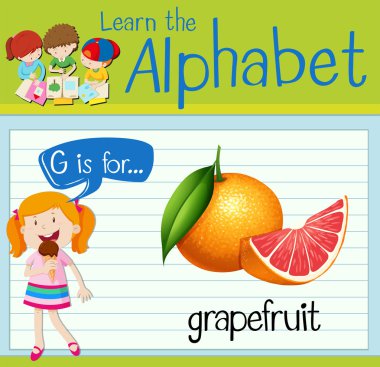 Flashcard alfabe G için greyfurt olduğunu