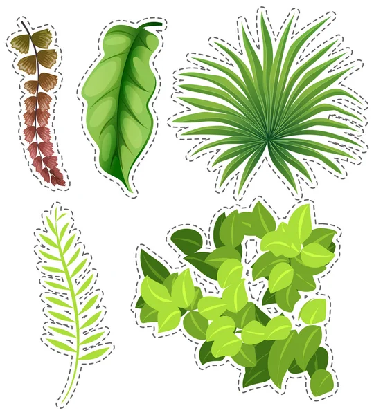 Sticker ensemble de feuilles vertes — Image vectorielle