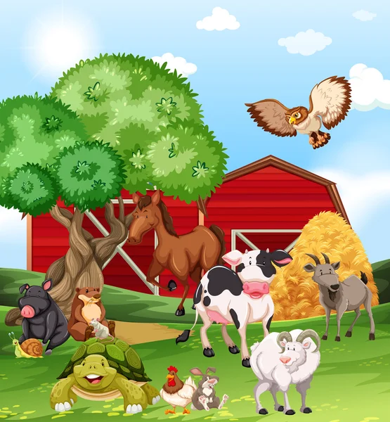 Animales de granja que viven en la granja — Vector de stock