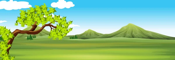 Natuur scène met groene veld — Stockvector