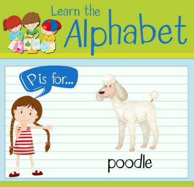 Flashcard P kaniş için harftir