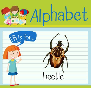 Flashcard B böceği için harftir