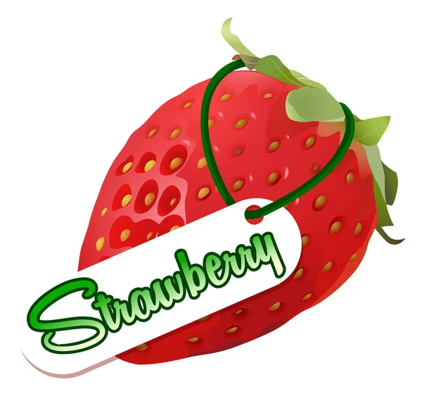 Desain fonta dengan strawberry dan kata segar - Stok Vektor