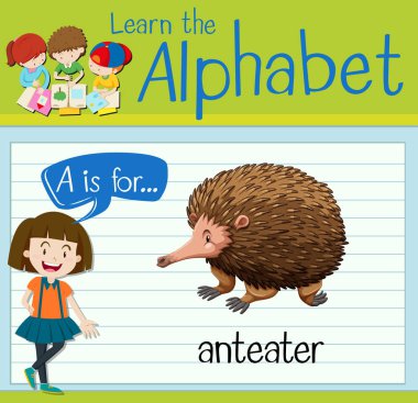 Flashcard harf A karıncayiyen için olduğunu