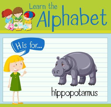 Flashcard harfi H için hoppopotamus olduğunu