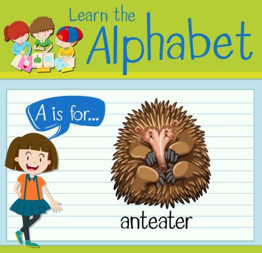 Flashcard harf A karıncayiyen için olduğunu