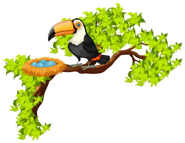 Toucan και φωλιά στο δέντρο — Διανυσματικό Αρχείο
