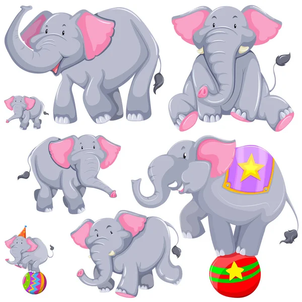 Grauer Elefant in verschiedenen Aktionen — Stockvektor