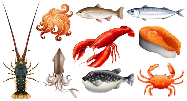 Different types of seafood — Stock Vector