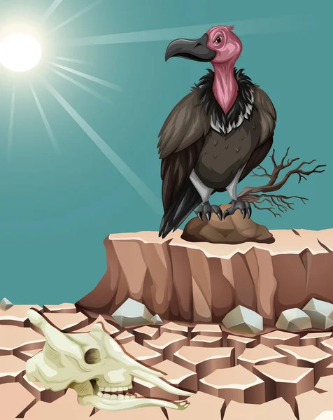 秃鹫站在沙漠地面上 — 图库矢量图片