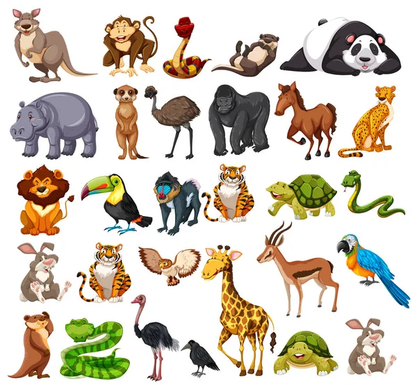 Different types of wild animals on white — Stock Vector
