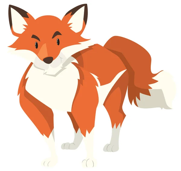 Wild fox with red fur — Stock Vector