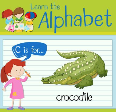 Flashcard C timsah için harftir