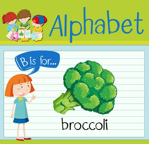 Flashcard letra B es para el brócoli — Vector de stock