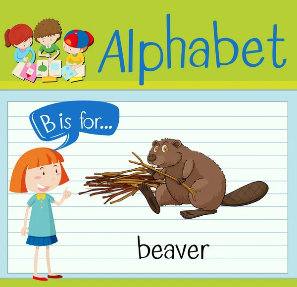 Flashcard mektup b beaver için. — Διανυσματικό Αρχείο