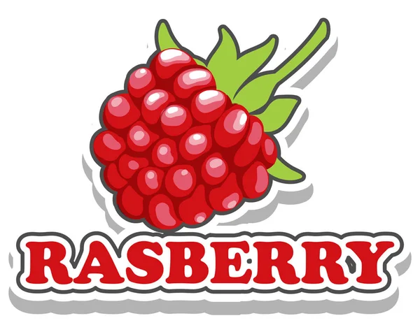 Desain fonta dengan kata raspberry - Stok Vektor