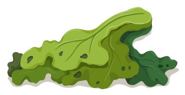 Beyaz arka plan üzerinde çürük yeşil sebze