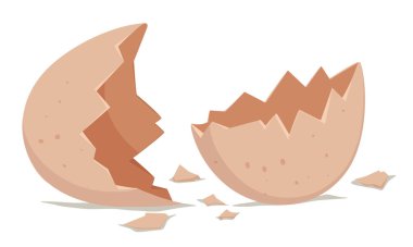 Kırık yumurta kabuğu yerde