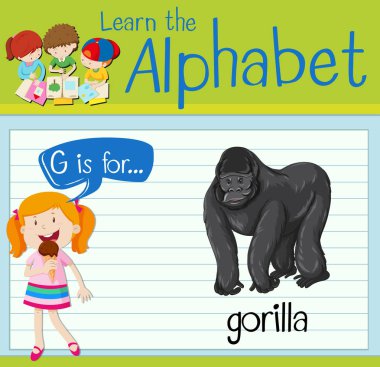 Flashcard G goril harftir