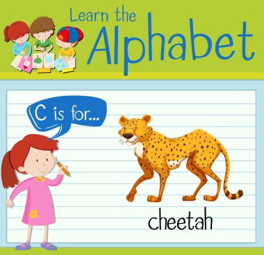 Flashcard C için cheetah harftir