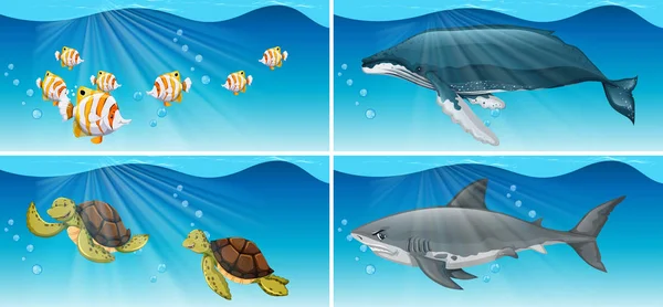 Podvodní scény s mořští živočichové — Stockový vektor