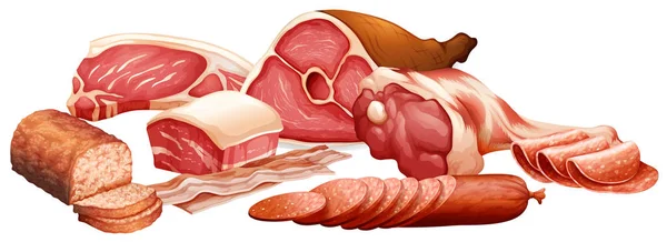 Diferentes tipos de carnes —  Vetores de Stock