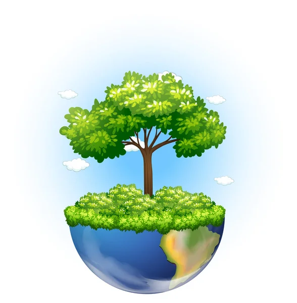 Zöld fa nő a földön — Stock Vector