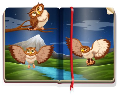 Kitap üç baykuşlar ile nehir sahne