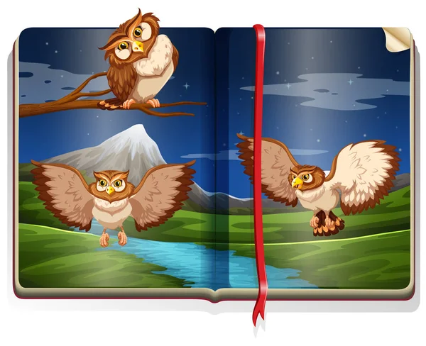 Rivier scène met drie uilen in het boek — Stockvector