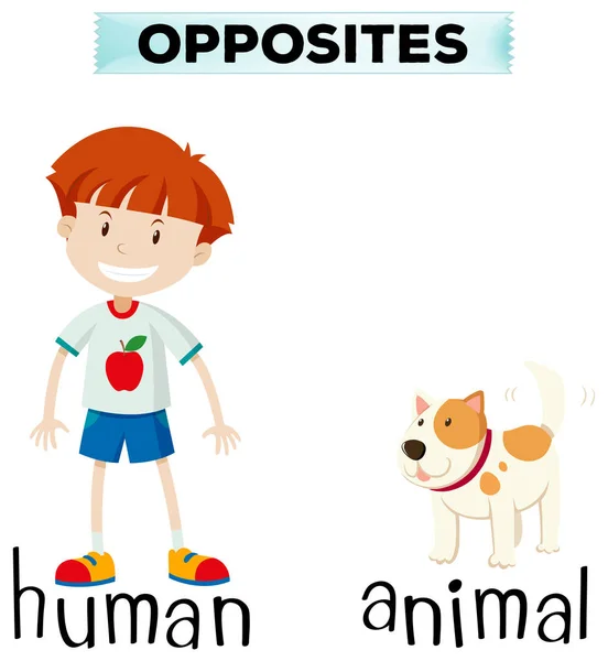 Palabras opuestas para humanos y animales — Vector de stock