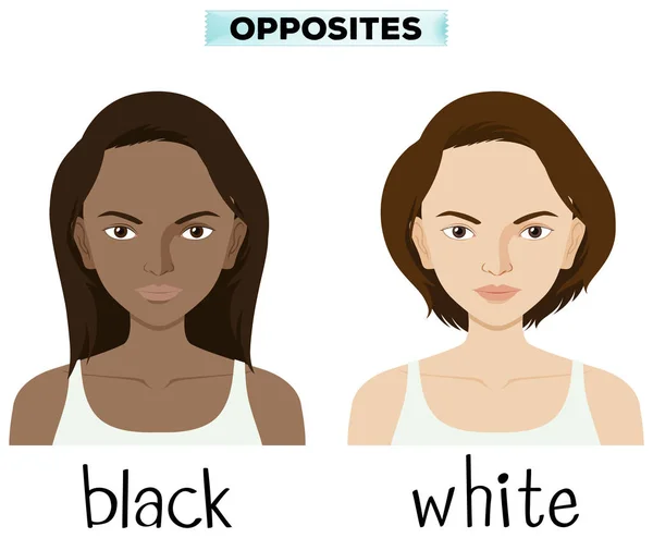 Mots opposés pour noir et blanc — Image vectorielle