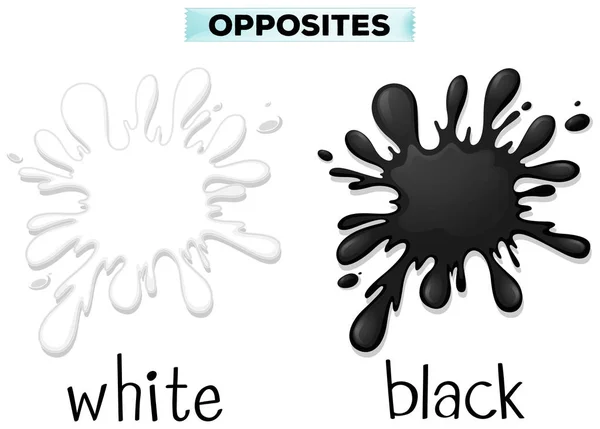 Colores opuestos para blanco y negro — Vector de stock