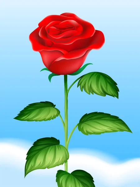 Κόκκινο τριαντάφυλλο και τον ουρανό φόντο — Διανυσματικό Αρχείο
