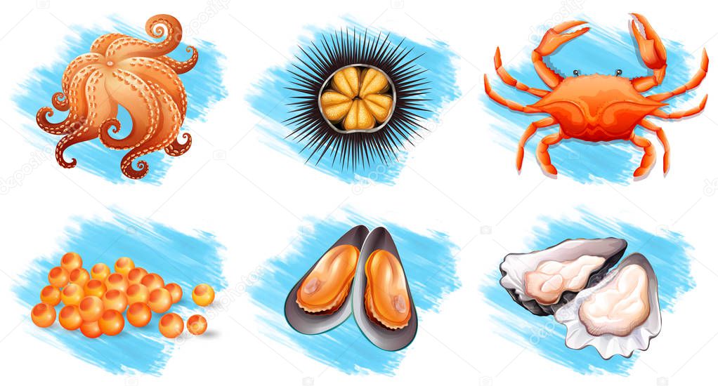 Different kinds of fresh seafood