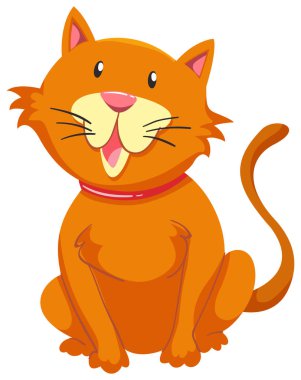 Turuncu kürklü küçük kedi