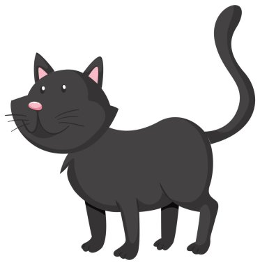 Dört ayak üzerinde duran kara kedi