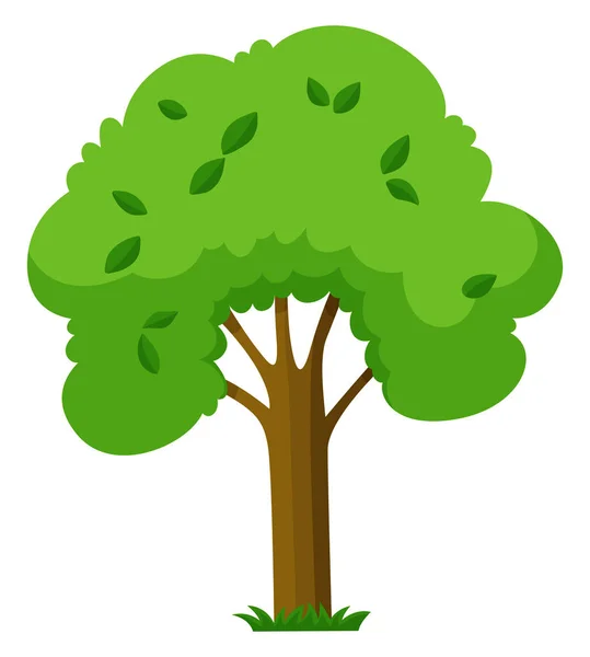 Árbol verde sobre fondo blanco — Vector de stock