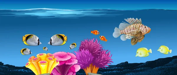 Undervattensscen med fisk och korallrev — Stock vektor