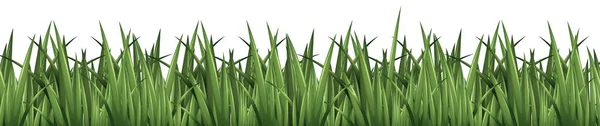 シームレスな背景デザインと緑の草 — ストックベクタ