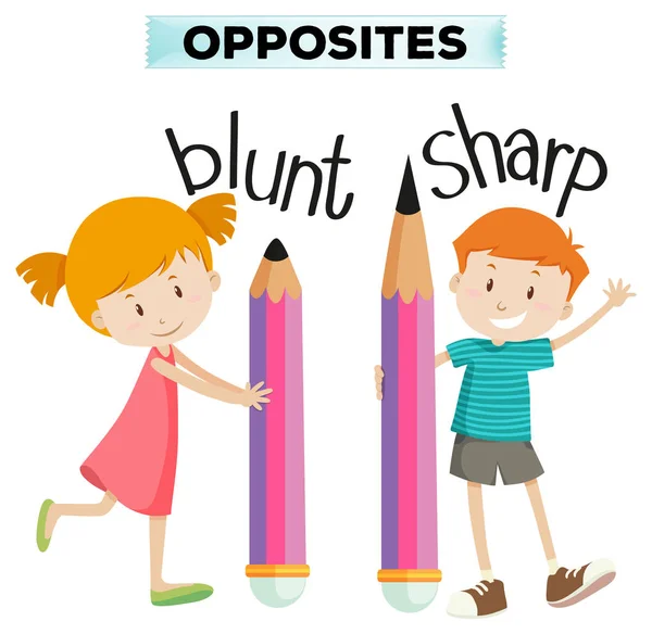 Opposite words for blunt and sharp — Stock Vector