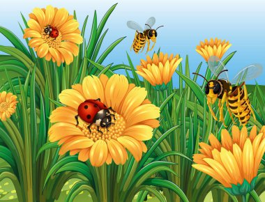 Ladybugs ve bahçede uçan eşekarısı
